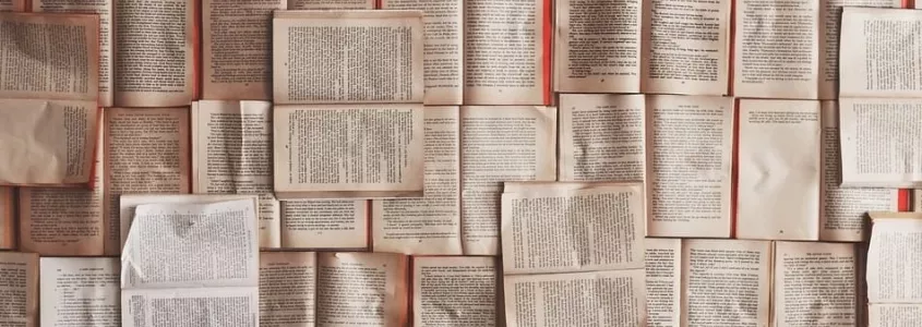 delitos de la propiedad intelectual