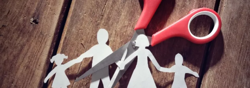 Divorcio Mutuo Acuerdo